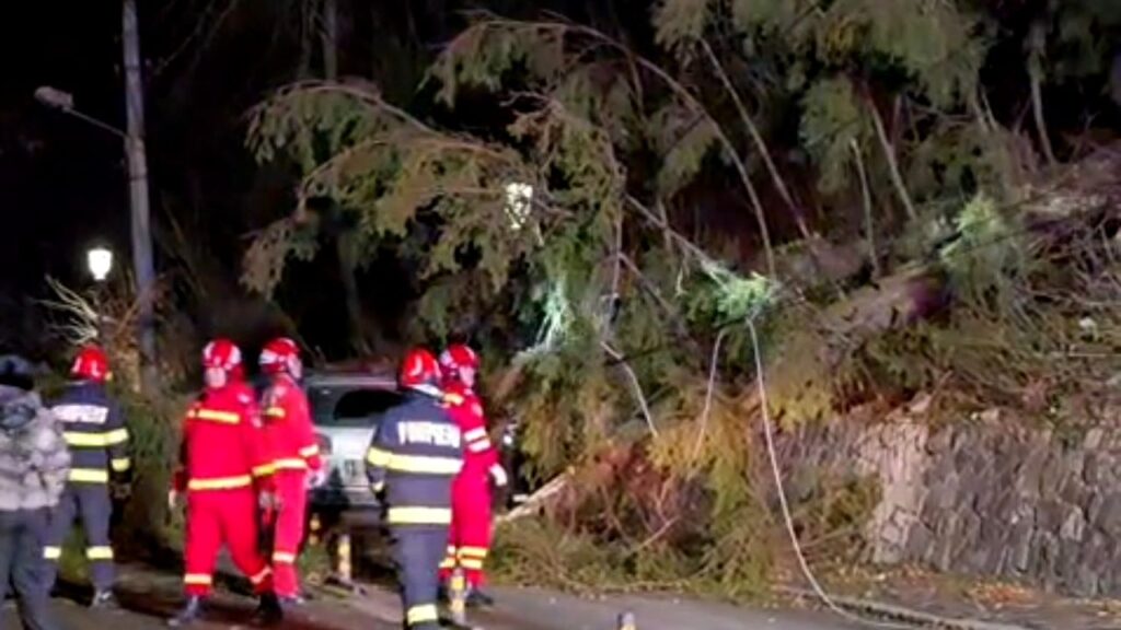 Copac doborât de furtună peste o maşină cu trei persoane, la Sinaia