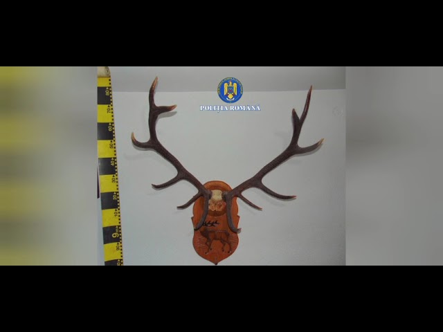 10 percheziții în Gorj și Dolj, la persoane suspectate de braconaj