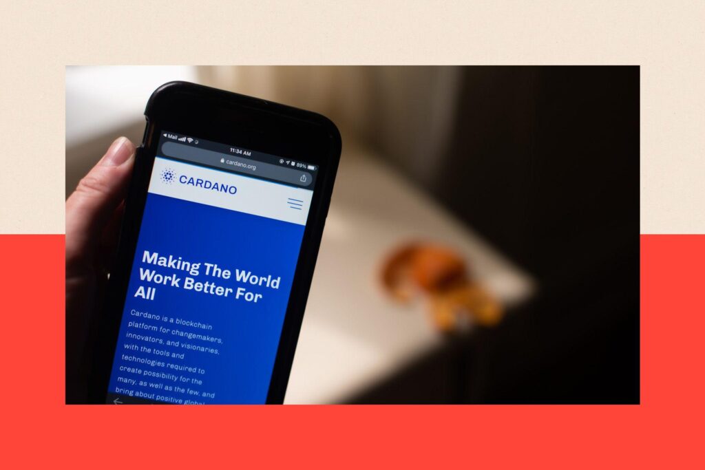 Helen și Richard nu sunt bogați. Ea este asistentă personală, el este compozitor, iar ei aveau mari speranțe pentru investițiile lor în Cardano - înainte de furt