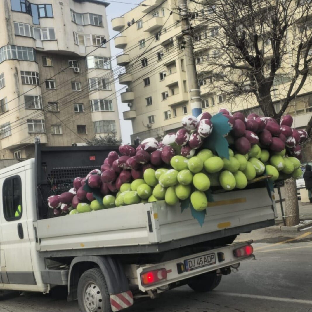 Butaforia cu fructe dispare de pe stațiile RAT din Craiova. Sursa foto: Facebook