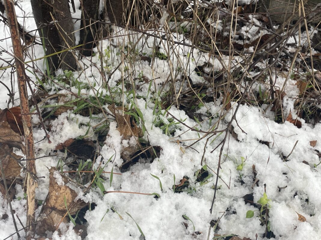 Sunt prognozate precipitații, polei, intensificări ale vântului și un episod de ger accentuat