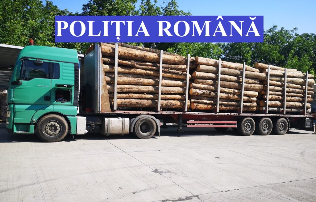 Pădurar reținut în Gorj pentru falsificarea datelor în SUMAL 2.0 și uz de fals