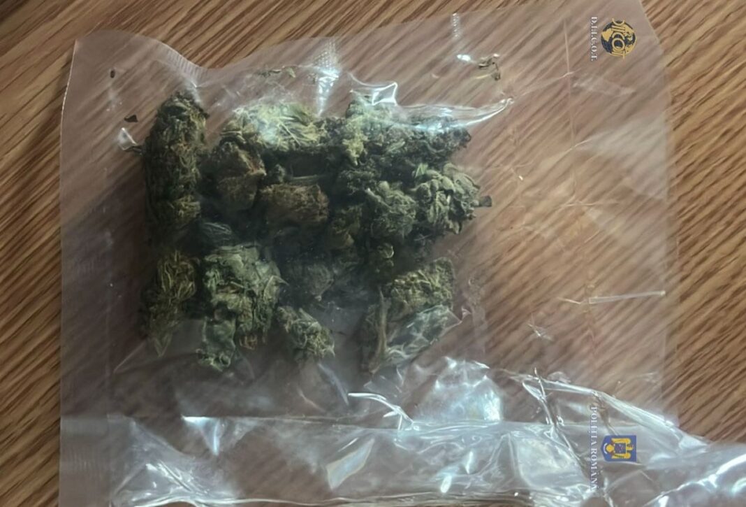 Trafic de droguri în Gorj