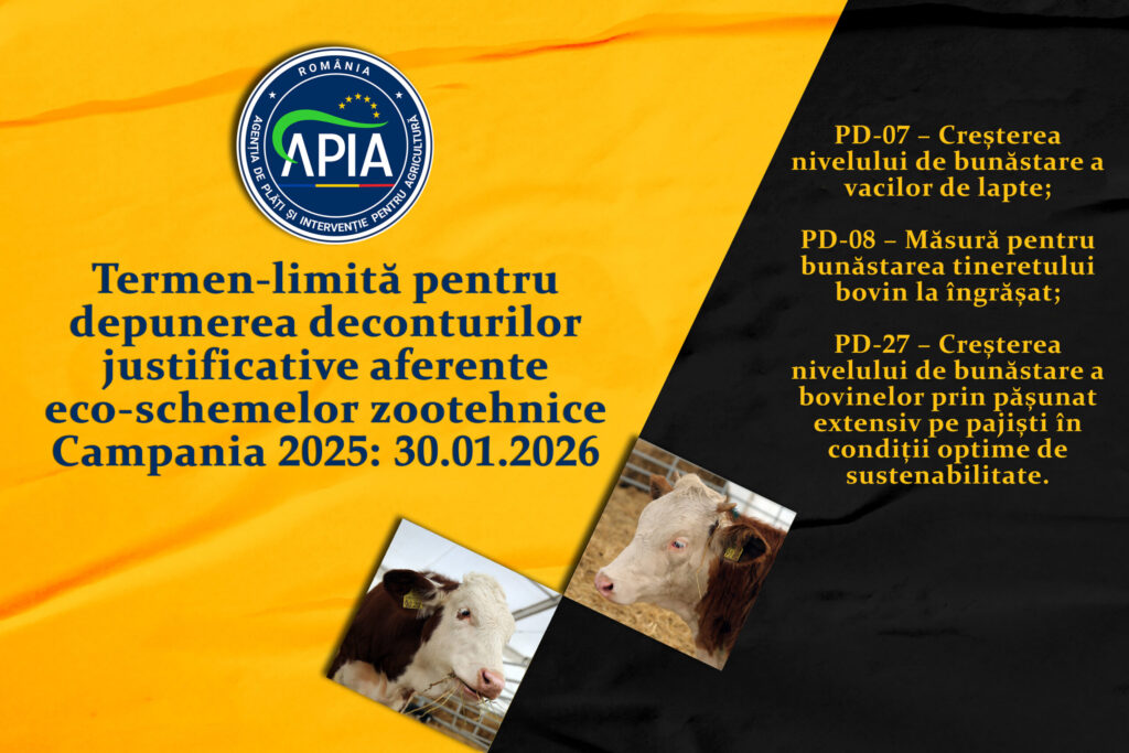 APIA: Termen limită 30 ianuarie 2026 pentru depunerea deconturilor aferente eco-schemelor zootehnice