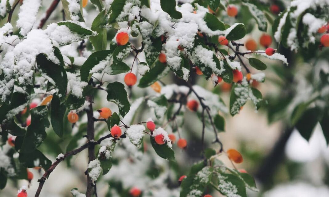 Cum va fi vremea în următoarele patru săptămâni