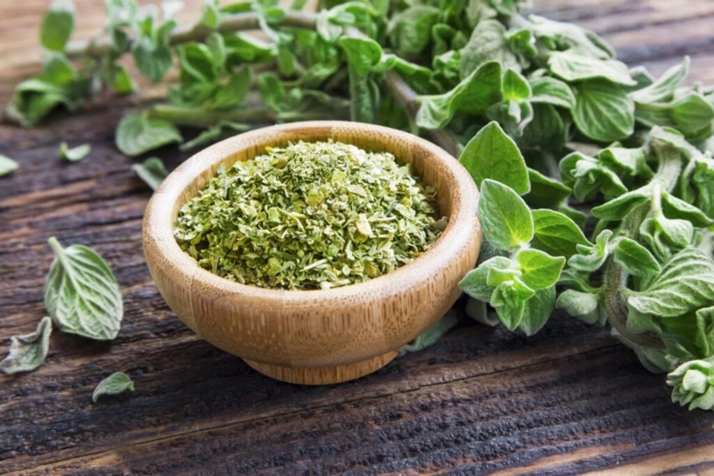 Oregano, beneficii surprinzătoare pentru sănătate