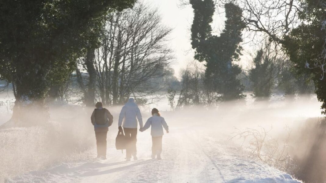 Decizie a Ministerului Educației pentru mai multe județe din țară pentru cursuri online