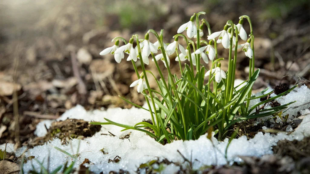 Se schimbă din nou vremea. Meteorologii au anunțat cum va fi în februarie