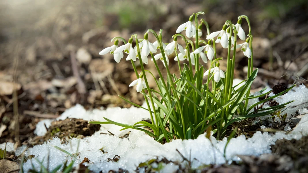 Se schimbă din nou vremea. Meteorologii au anunțat cum va fi în februarie