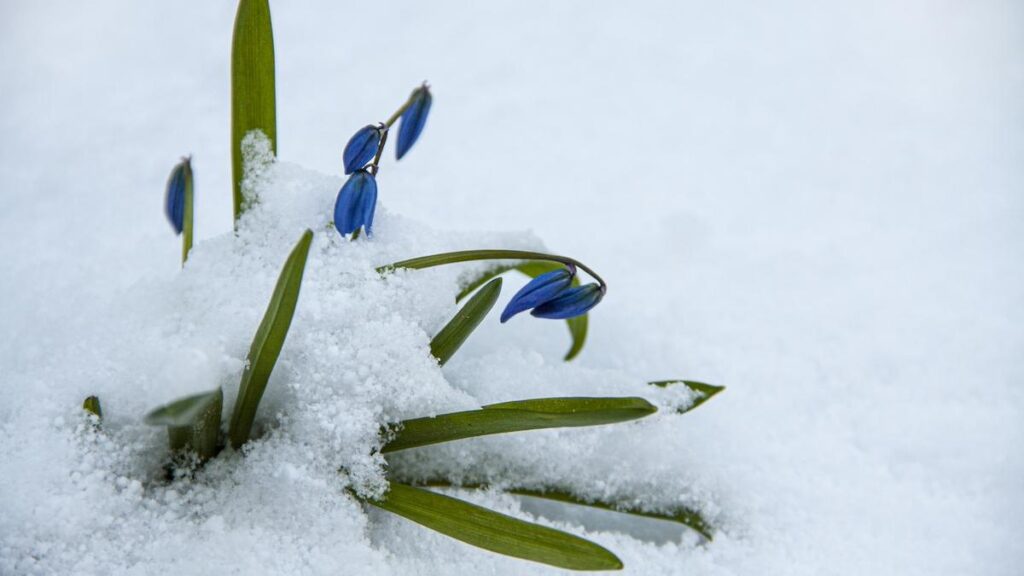 Se schimbă vremea! Meteorologii au actualizat prognoza meteo