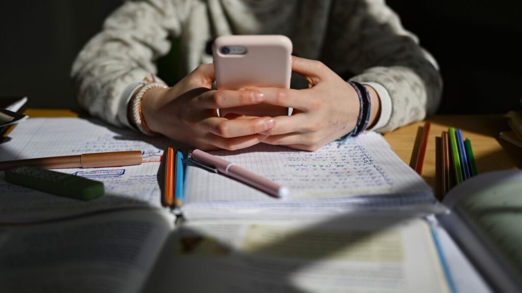 Spania va interzice utilizarea platformelor de socializare pentru copiii sub 16 ani