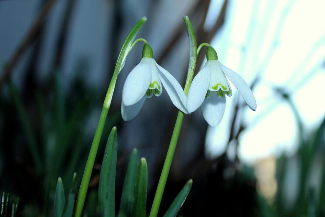 Creştere spectaculoasă a temperaturilor, cu soare şi fără precipitaţii