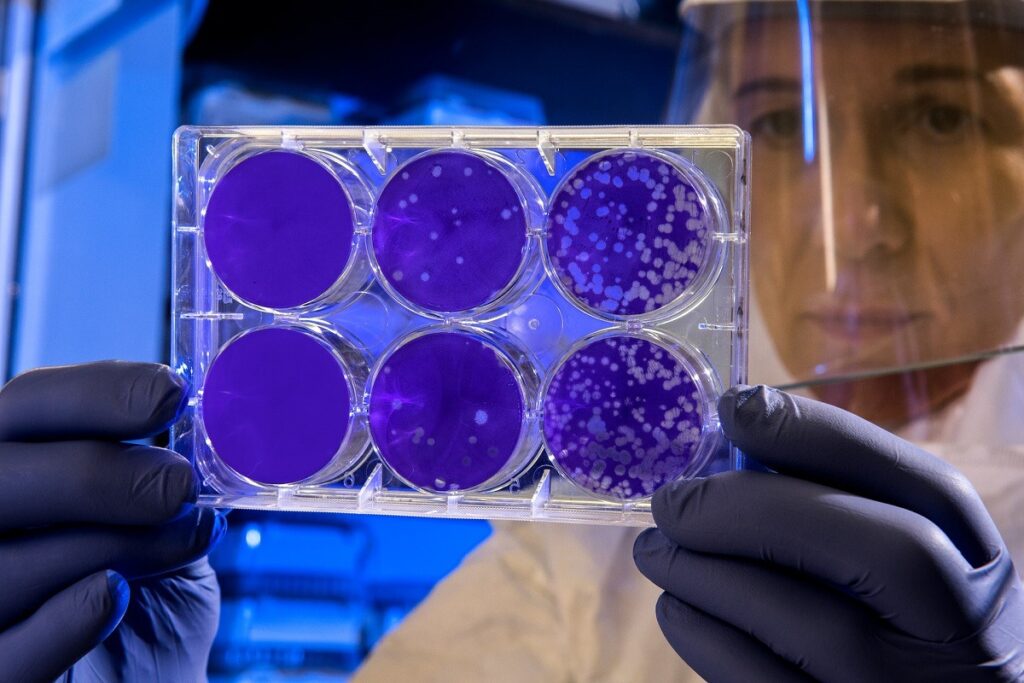 Un nou capitol în imunoterapia oncologică. Bacteria „tenace, vicleană” care ar putea combate cancerul