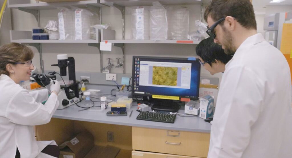 Dr. Ellen Foxman și colegii săi observând celule la microscop