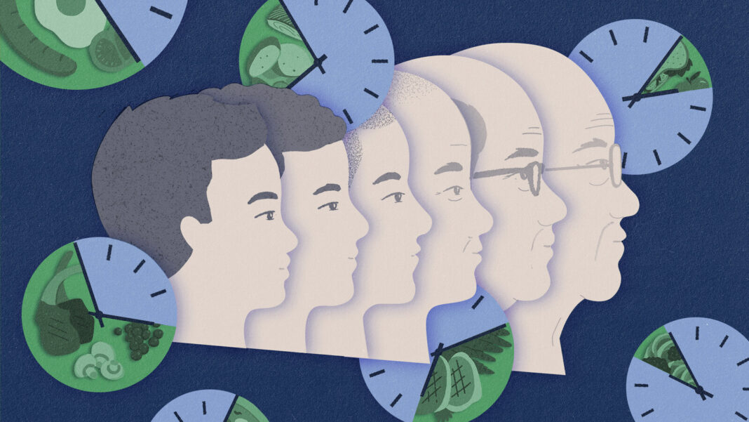 Îmbătrânirea - un proces complex, dar flexibil