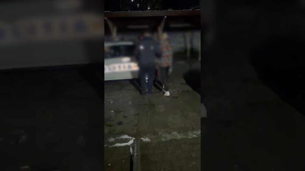 (VIDEO) Dolj: Cinci bărbați reținuți după un conflict violent într-o societate comercială din Cetate