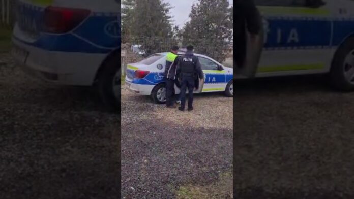 Agresiune asupra soției, intervenție rapidă a polițiștilor