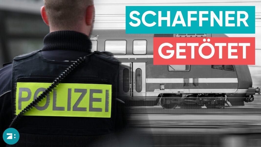 Un pasager fără bilet a ucis un un controlor de tren, în Germania