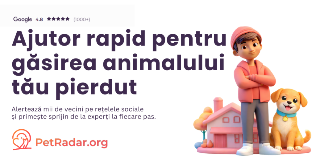 PetRadar.org ajunge în România! Platforma care găsește animalele pierdute