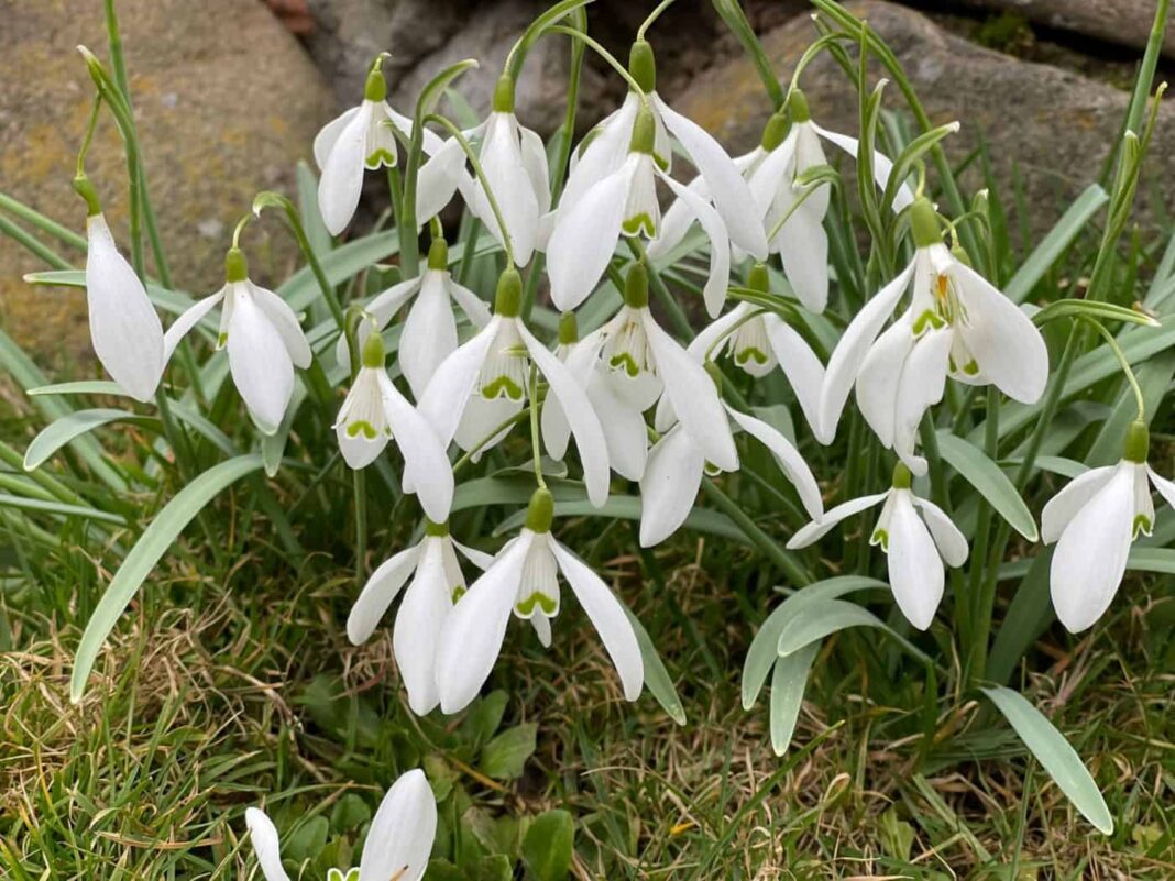 Cum va fi vremea până pe 9 martie