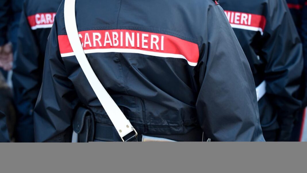 Italia: Româncă arestată după ce a încercat să fure un televizor și a mușcat un polițist