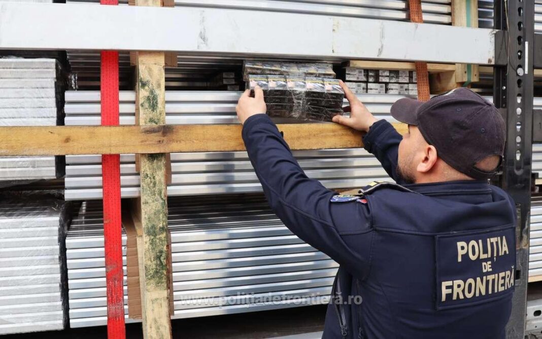 Control pe DN 56, lângă podul Calafat–Vidin