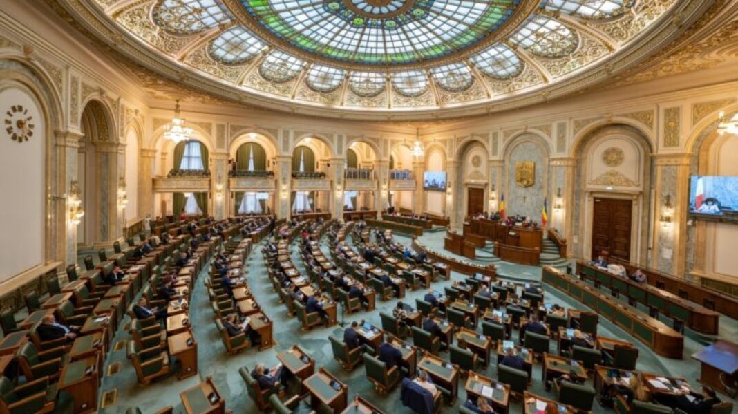 Senatul dezbate moțiunea simplă împotriva ministrului Diana Buzoianu