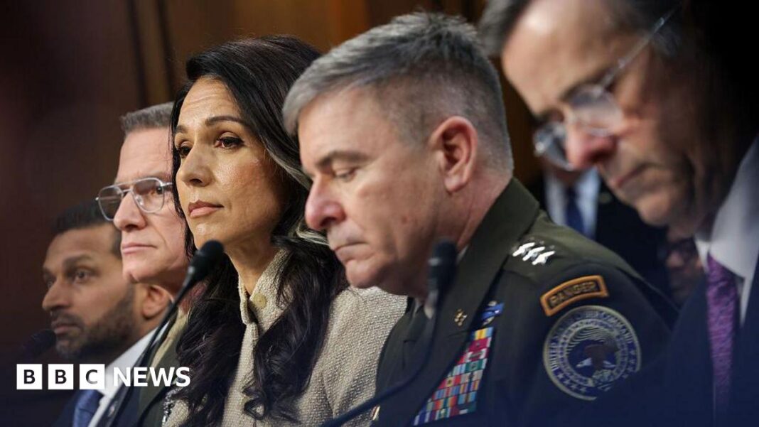 Tulsi Gabbard, directorul serviciilor naționale de informații, a fost prezentă în Congres