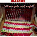 Afiș Oltenia prin ochii noștri