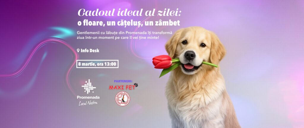 Promenada Craiova aduce evenimente speciale de Ziua Femeii: frumusețe, relaxare și momente speciale alături de patrupezi