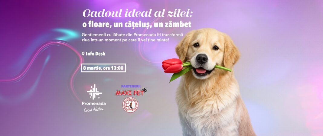 Promenada Craiova aduce evenimente speciale de Ziua Femeii: frumusețe, relaxare și momente speciale alături de patrupezi