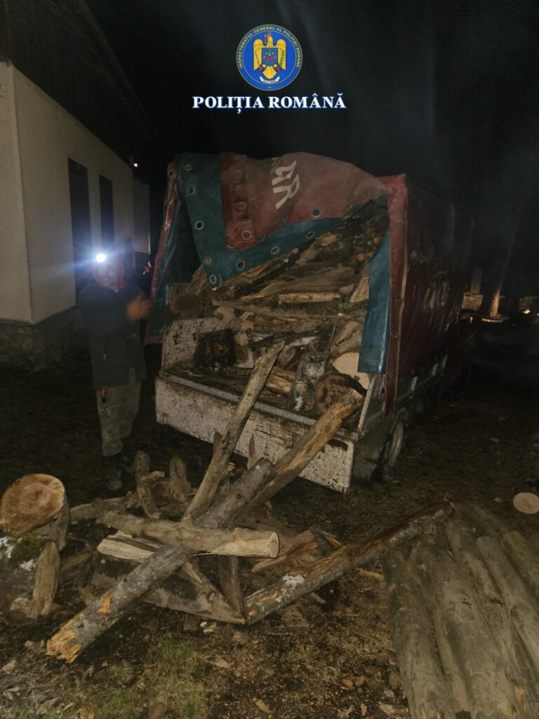 Gorj: Controale rutiere pe DC 22 și dosare penale pentru furt de arbori
