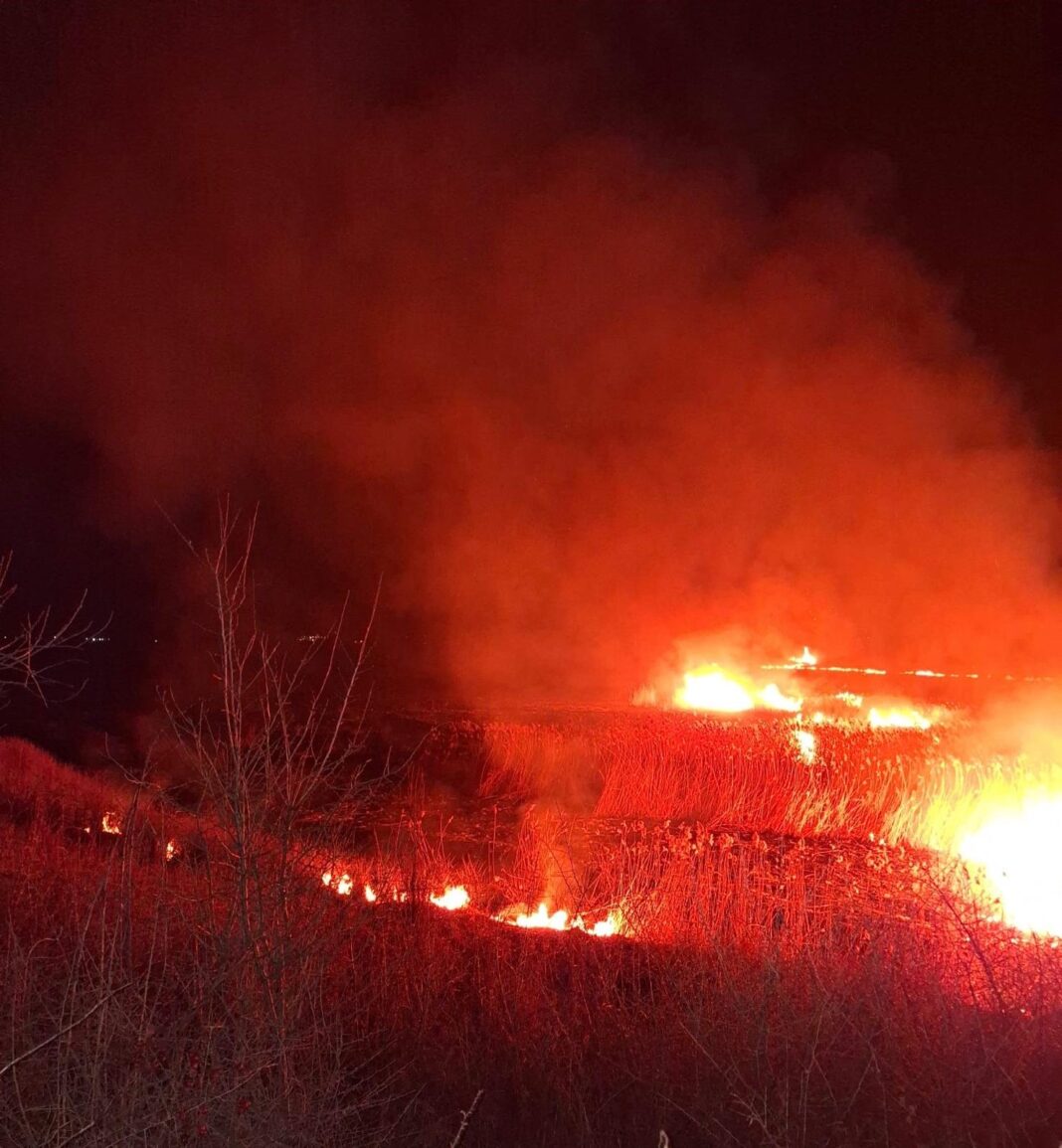 Pompierii au intervenit pentru lichidarea flăcărilor