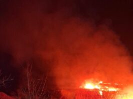 Pompierii au intervenit pentru lichidarea flăcărilor