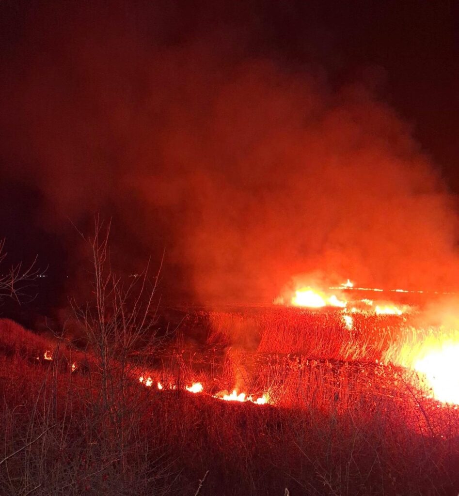 Incendiu de vegetație în Drăgășani