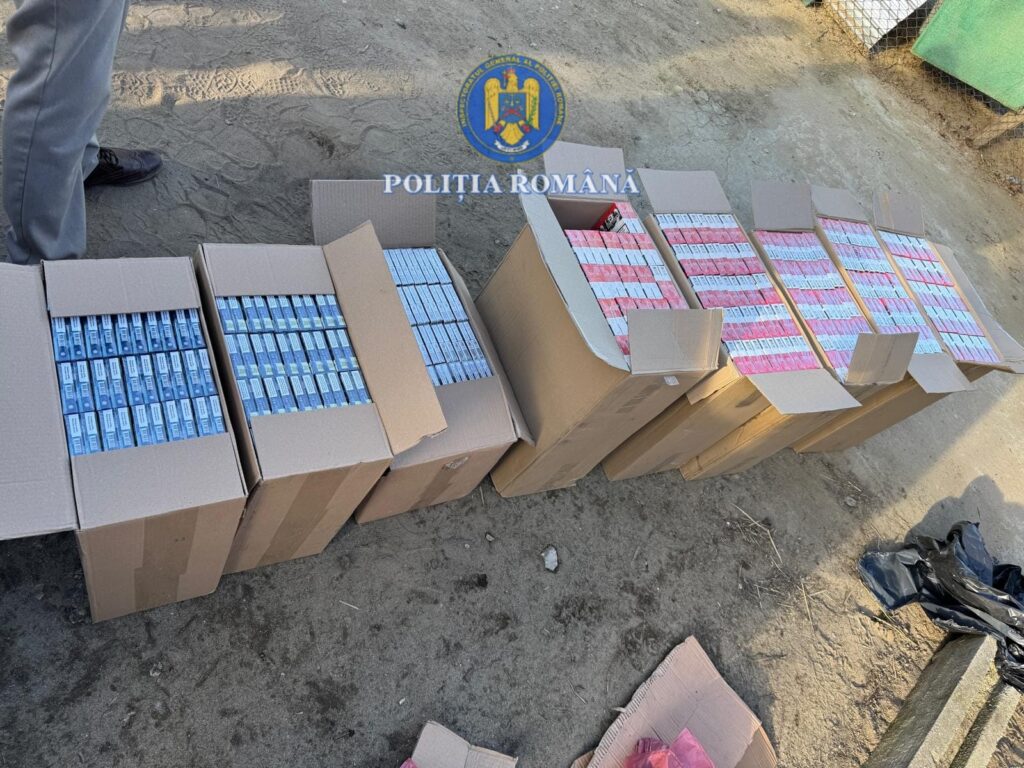 Percheziții în Dolj: peste 126.000 de țigarete fără timbru fiscal descoperite