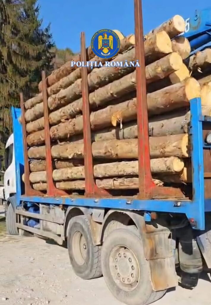 Mehedinți: Transport ilegal de lemn depistat la Baia de Fier: autoutilitară și aproape 15 mc de material lemnos, confiscate