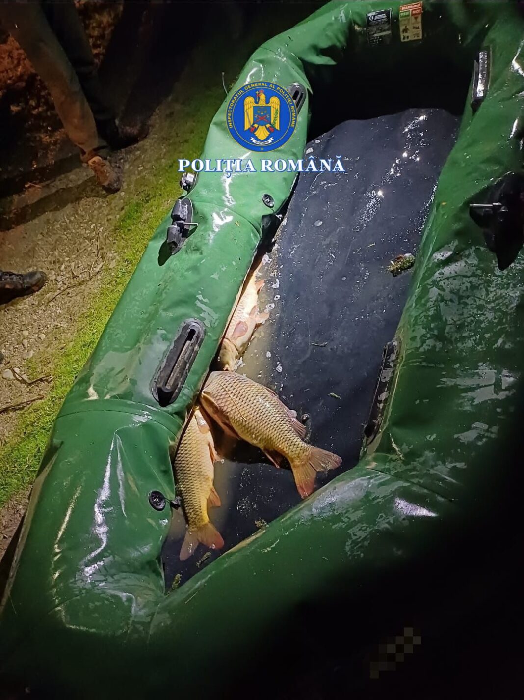 Peștele, barca și uneltele de pescuit au fost confiscate