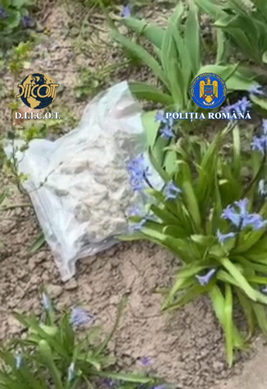 Trei bărbați, reținuți pentru trafic de droguri de mare risc