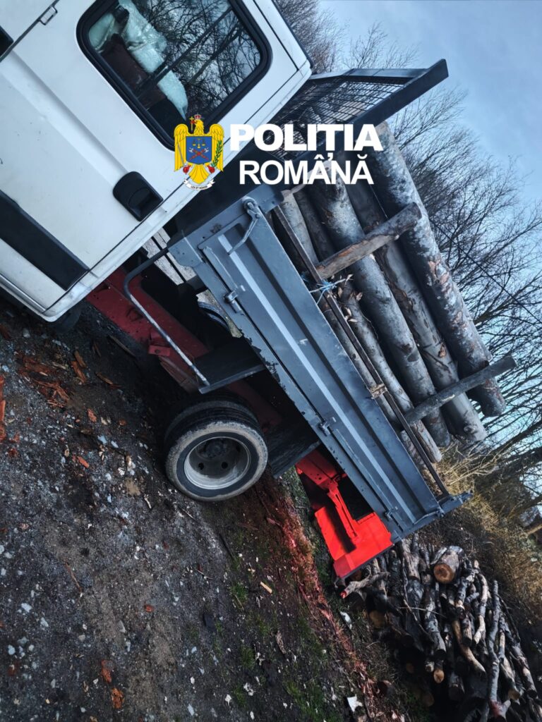 (VIDEO) Gorj: Depistat în flagrant cu transport ilegal de lemn de fag în comuna Săcelu