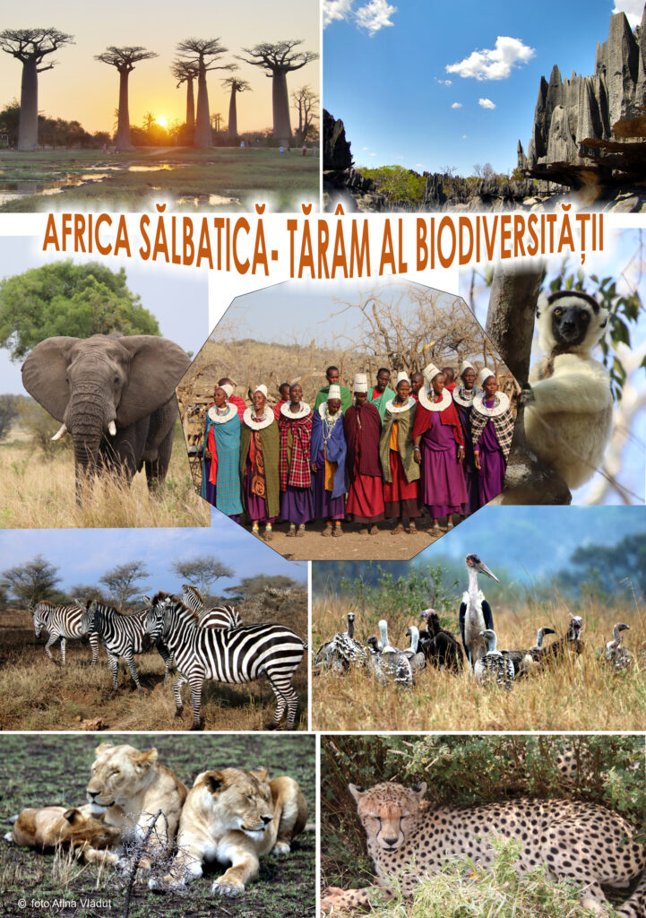 „Africa sălbatică – tărâm al biodiversității”. Conferință specială la Craiova despre magia naturii africane