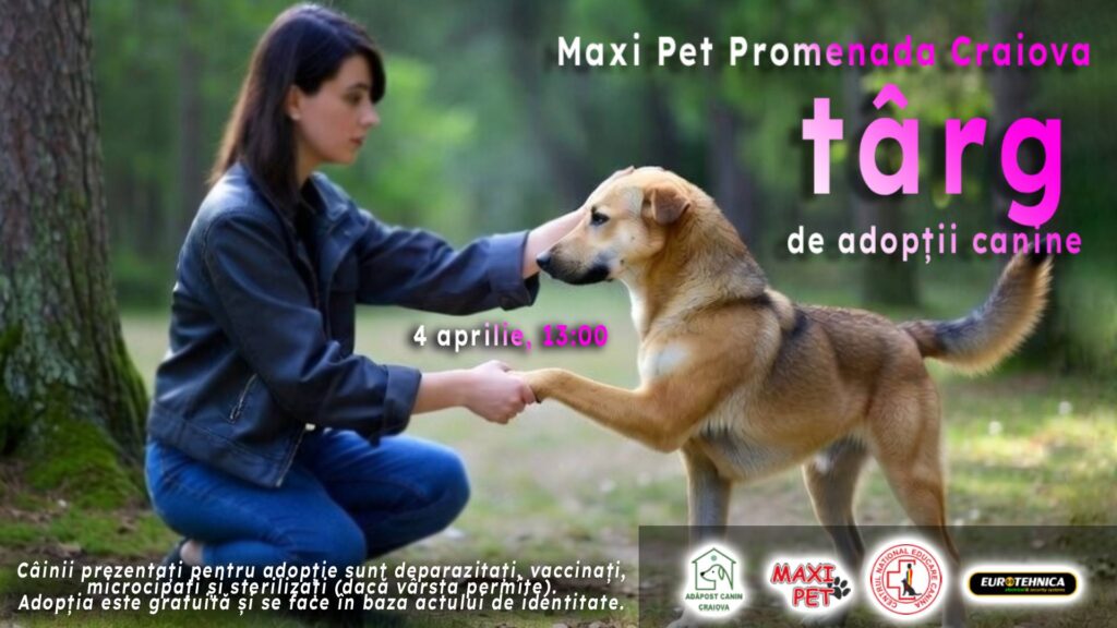 Târg de adopții canine la Craiova: dă o șansă unui prieten loial
