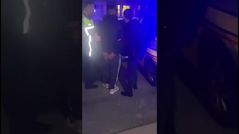 (VIDEO) Bărbat din Segarcea, reținut după ce și-ar fi amenințat vecinul și i-ar fi distrus mașina