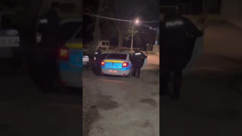 (VIDEO) Doi tineri din București, reținuți după un furt într-o parcare din Dolj
