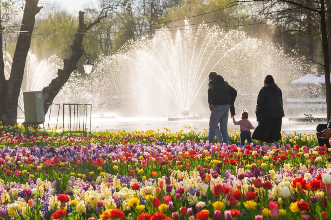 ECO URBIS vrea fântâni arteziene cu jocuri de lumini în Parcul Romanescu (Foto: Facebook Primăria Municipiului Craiova)