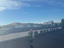 Salvare spectaculoasă a unei pisici