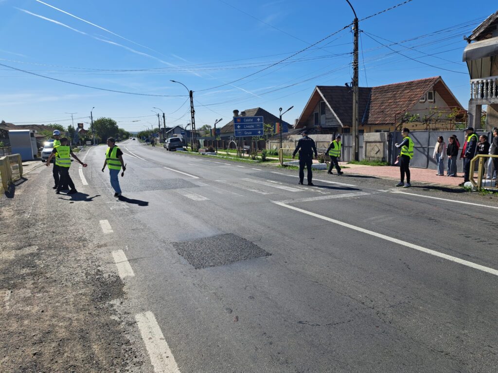 Cum se traversează corect strada