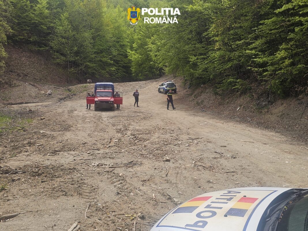 Doi localnici prinși cu drujbă, topor și autoutilitară în pădure