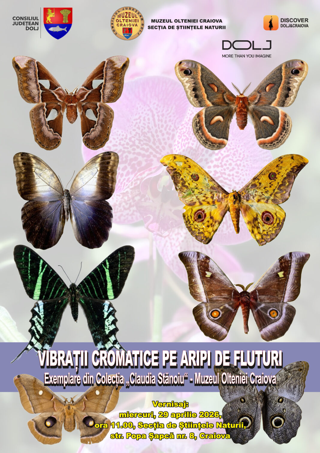 Vernisaj special la Secția de Științele Naturii