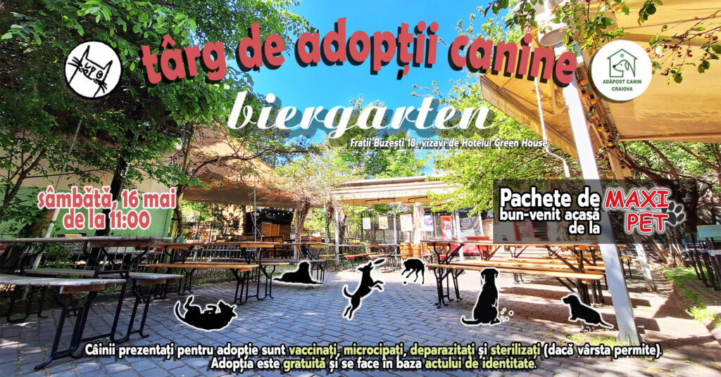 Târg de adopții canine la Craiova! Zeci de suflete își caută o familie pe 16 mai